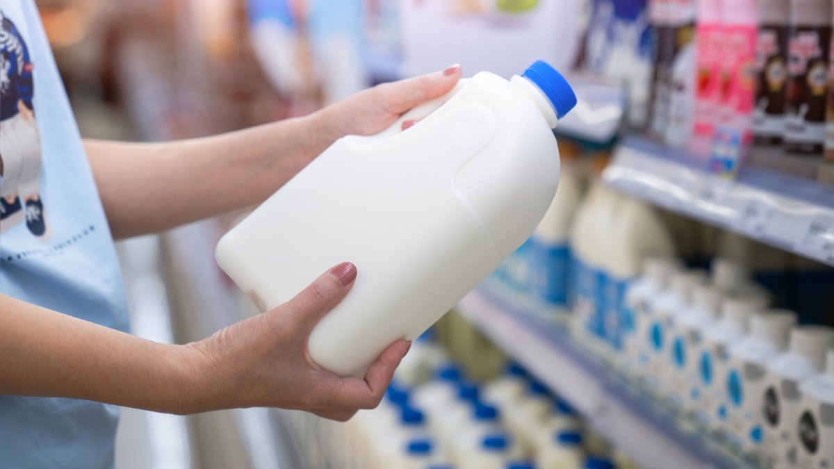 Detectan caso de influenza aviar en un centro de producción de leche en Logan