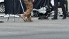 Tercer motociclista en una semana pierde la vida tras choque con un auto en Utah